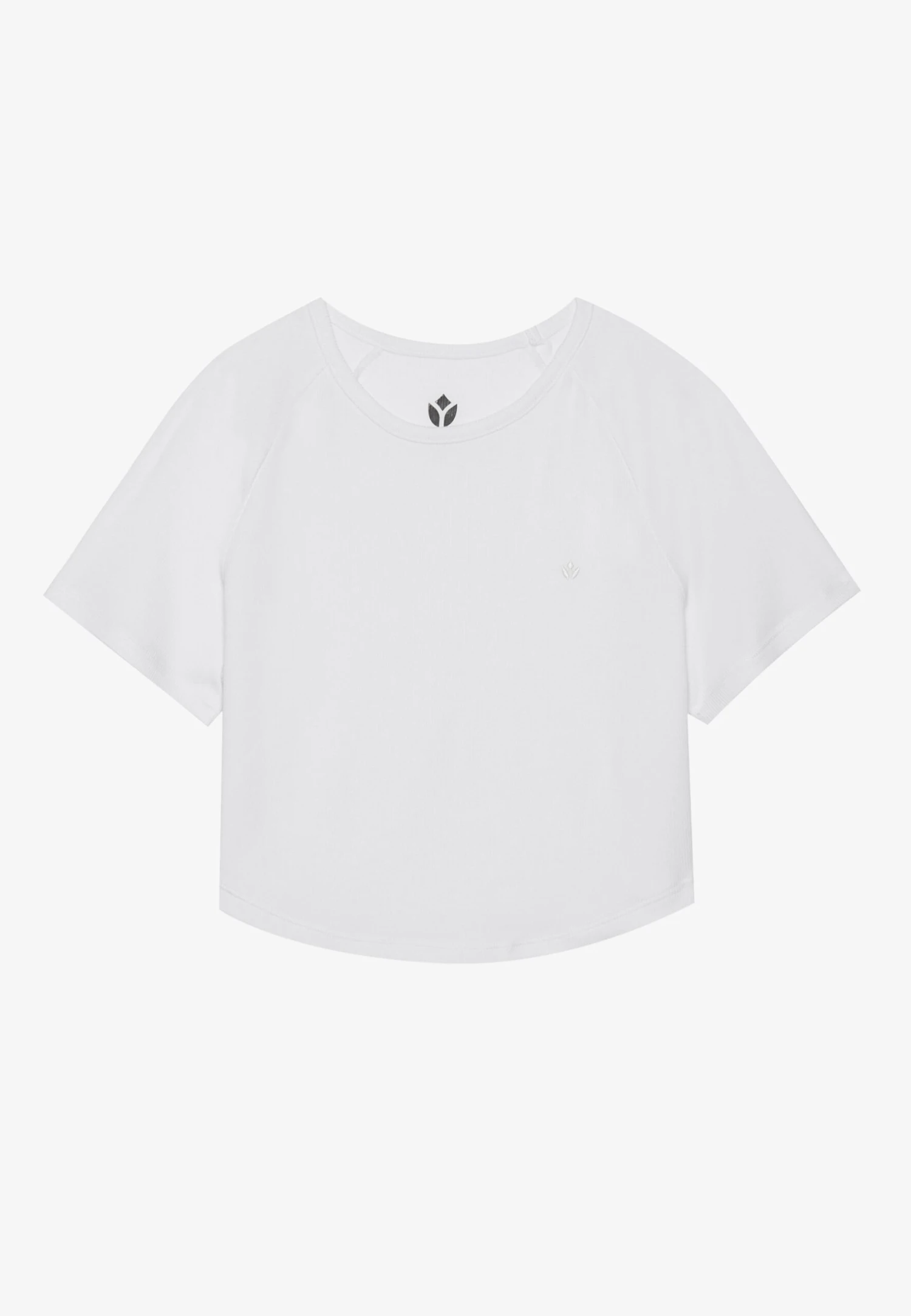 ESSENTIAL CROPPED FINE RIB T SHIRT - T-shirt Basic - Light Grey 8 ESSENTIAL CROPPED FINE RIB T SHIRT - T-shirt Basic - Light Grey - Afbeelding 6